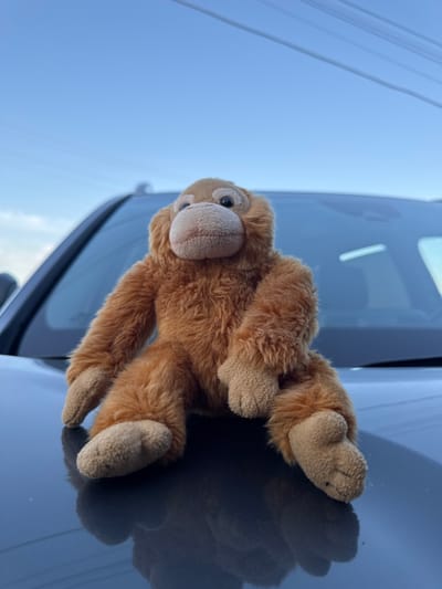A brown, plush monkey toy is sitting on the hood of a dark-colored vehicle. The monkey is facing forward with its legs bent and arms resting on its knees. The vehicle's windshield is visible behind the monkey, reflecting the blue sky and some distant power lines. The hood of the car is dark and shiny, reflecting the monkey and the sky. The background is a clear blue sky. There is no visible indication of the city of Буб, Russia.