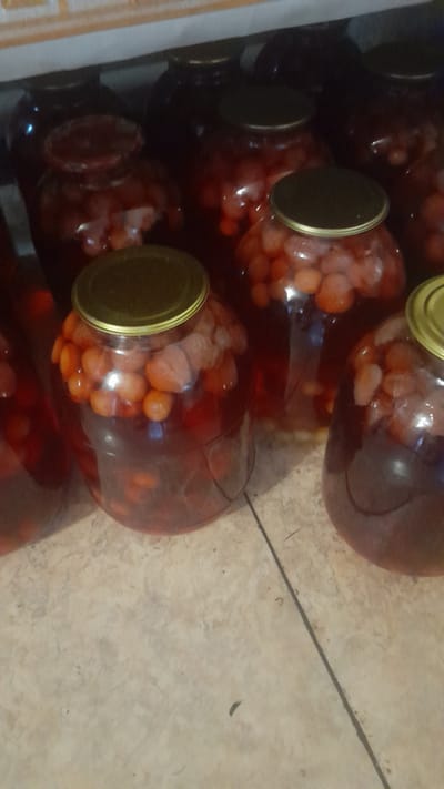 A collection of glass jars filled with preserved strawberries in syrup sits on a tiled surface. The jars are of various sizes, with some being wider at the base and tapering towards the neck. Each jar is sealed with a golden metal lid. The strawberries appear whole and are submerged in a reddish-pink syrup. The background shows a wall with a horizontally striped pattern, suggesting an indoor setting. The lighting is dim, casting shadows and creating a slightly grainy appearance in the image. The location is specified as Bagayevskaya, Russia.