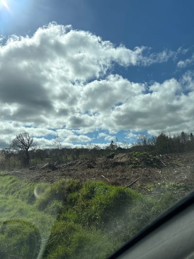 The image shows a view from inside a vehicle, likely a car, showcasing a landscape near Pulverbatch, United Kingdom. The sky dominates the left side, filled with billowing white cumulus clouds against a backdrop of blue sky. The right side depicts a field transitioning from dry, brown vegetation with bare trees to vibrant green grass. A portion of the car's window frame is visible on the top right. The scene captures a clear, sunny day, possibly during early spring, with fresh green growth emerging.