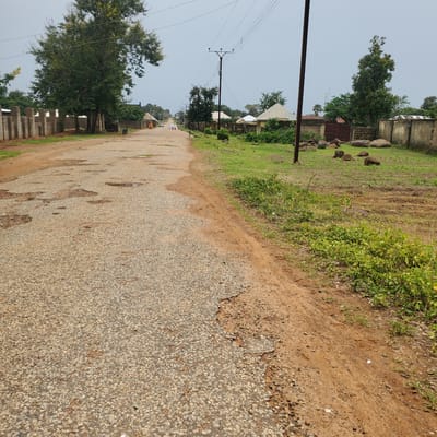 The image depicts a rural road in Toro, Nigeria, under an overcast sky. The road appears to be asphalt with significant wear and tear, showing numerous potholes and areas where the aggregate is exposed. To the left of the road, a grassy embankment slopes upwards, dotted with rocks and vegetation. Further up the embankment, a wall made of concrete blocks is visible, with a rusted metal gate and more rocks. Trees and bushes are scattered throughout the landscape, with some buildings peeking through the foliage.
On the right side of the road, the terrain transitions to sandy soil mixed with gravel and sparse vegetation. The road continues into the distance, lined with trees and power lines supported by wooden poles. Several houses with corrugated metal roofs are visible on either side of the road. In the distance, a group of people can be seen walking, and a vehicle is parked. The overall scene suggests a typical day in a Nigerian village, with no specific event taking place. The lighting indicates it is daytime, likely late morning or early afternoon, given the diffused light. There is no visible text in the image.