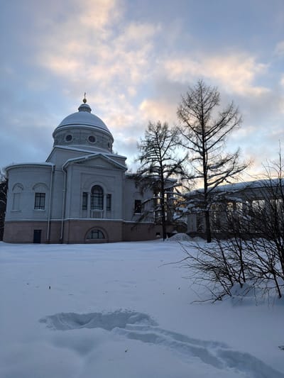 The image displays a winter scene in посёлок дачного хозяйства «Архангельское», Russia, featuring a prominent Neoclassical-style building under an overcast sky. The central structure, light-colored, possesses a large dome topped with a golden finial and an Orthodox cross. The dome exhibits circular decorative elements and intricate relief work. The building's facade includes arched and rectangular windows, with a distinct pinkish-beige base section containing a single arched window and a dark blue door on the left. Snow covers the dome, roof ledges, and other horizontal surfaces of the building. To the right of the main structure, several tall, bare deciduous trees stand in front of a snow-laden colonnade or portico. The entire foreground and midground are covered in a thick, undisturbed layer of white snow, except for a set of clear human footprints and a small depression visible in the immediate foreground, indicating recent activity. Smaller, bare bushes are present on the right side of the frame. The sky features a blend of blue-grey and light-pink clouds, suggesting either dawn or dusk. No individuals are visible.