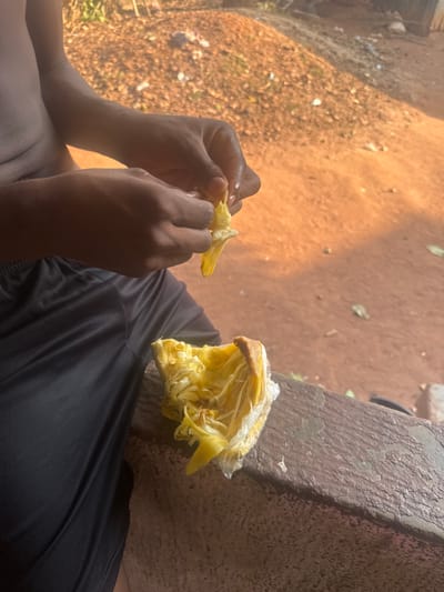 A close-up shot shows a person with dark skin sitting outside, wearing dark clothing. They are holding a piece of yellow fruit, possibly jackfruit, in their hands, seemingly peeling or preparing it. Next to them is a larger portion of the same fruit, partially covered in plastic wrap and resting on a stone surface. The background consists of dirt and a sunlit area.