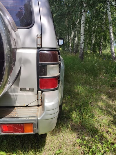 The image shows the rear right side of a silver SUV parked on a grassy area next to a birch forest. The SUV's taillight, spare tire mounted on the back, and "GLS" badging are visible. The forest is dense with tall birch trees and green undergrowth. The ground is covered in grass and some fallen leaves. The overall scene suggests an outdoor setting, possibly a rural or park area. There is no information in the image to indicate a specific city or country.