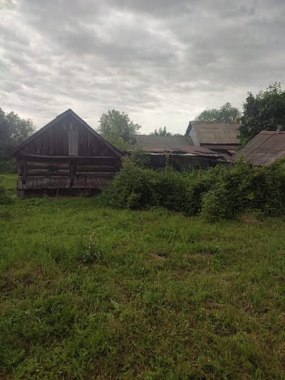 This is a horizontal, eye-level, outdoor, full-shot photograph of a rustic, overgrown yard with several wooden structures, taken on a cloudy day. The sky is filled with a thick layer of grey, textured clouds, suggesting overcast or impending rain.

The main subject is an old, dark wooden log house on the left side of the frame. It has a steeply pitched gable roof with wooden planks for siding. The logs appear weathered and aged. A vertical, lighter-colored wooden door or panel is centered on the upper facade. Below the gable, there are two large openings that appear to be barn doors or large windows. A crude, wooden ladder or tool leans against the left side of the house. The base of the log house is partially obscured by dense, green foliage and tall grass.

To the right of the log house, several other structures with corrugated metal or slate roofs are visible, some in disrepair. These buildings are also surrounded by thick vegetation, including bushes and tall green plants that create a sense of neglect or wildness. The foreground is dominated by a field of long, green grass, with some patches of brown and sparse wildflowers.

The overall scene evokes a feeling of rural seclusion and a slight sense of abandonment due to the overgrown nature of the vegetation and the weathered appearance of the buildings. The lighting is diffused and soft, consistent with an overcast sky, and there are no visible people or specific events taking place. The location is identified as Eliukkasy, Russia. There is no visible text in the image.