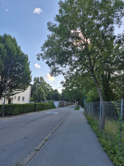 The image depicts a street scene in Landshut, Germany. On the left side of the street, a white building with multiple windows is visible, bordered by a neatly trimmed green hedge. A street lamp stands in front of the building. The street itself is paved and appears to be a two-lane road.
On the right side of the street, a paved pedestrian walkway runs alongside a chain-link fence. Beyond the fence, there are trees and vegetation. Several road signs are visible along the walkway, including a circular sign with a red border and a diagonal red bar, and a circular sign with a red border and the number '70' inside. A blue circular sign with a white symbol is also present on the walkway.
The scene is framed by lush green trees, with some of their branches extending into the sky. The sky is blue with a few scattered white clouds. The overall impression is of a quiet, residential street on a clear day.