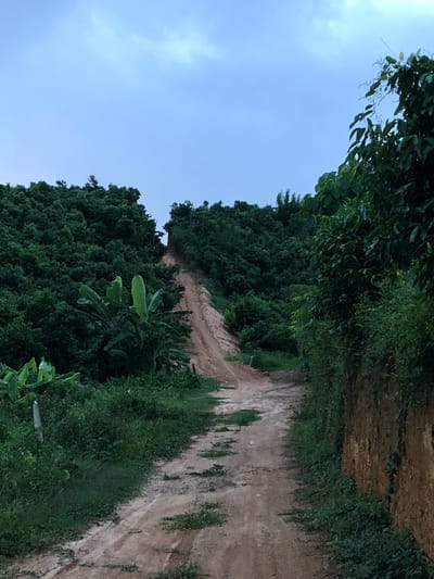 The image depicts a dirt road ascending a densely vegetated hillside, under a cloudy sky, in the vicinity of Thiththagalla, Sri Lanka. The road, marked by tire tracks and sparse patches of grass, winds upwards towards a crest obscured by trees. To the left of the road, a cluster of banana plants stands amidst thick green foliage and grass. To the right, a steep embankment, composed of reddish-brown soil and covered with vines and smaller plants, rises sharply, creating a distinct visual boundary. The overall impression is one of a rural, natural landscape, possibly an access route to higher ground or a secluded area. The lighting suggests it is late afternoon or early evening. There are no people or animals visible in the image.
