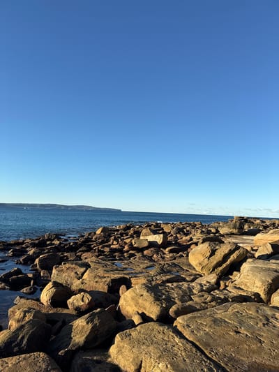 The image depicts a rocky shoreline on a clear, sunny day. In the foreground, numerous large, weathered rocks dominate the scene, scattered across the land and reaching towards the water. Some of these rocks have a golden-brown hue, illuminated by the sunlight. The water of the ocean is visible in the midground, a deep blue color, with small waves lapping against the shore. In the background, a distant landmass with rolling hills can be seen, also under the clear blue sky. There are no people or any man-made structures visible in this particular frame. The environment appears natural and untouched, showcasing a rugged coastal landscape. The location is identified as the city of Palm Beach, Australia.