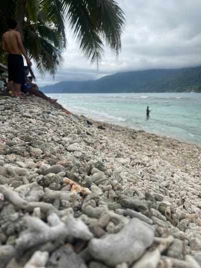 The image depicts a tropical beach scene in Pantonmakmur, Indonesia. In the foreground, the beach is covered with a dense scattering of coral fragments and shells, creating a textured, pale surface. To the right, the clear turquoise water of the ocean meets the shore, with small waves gently breaking.

Further into the water, a lone figure is visible, appearing to be wading or swimming, silhouetted against the bright water. In the background, a lush green mountain range rises from the sea, partially obscured by a hazy sky. Palm tree fronds are visible in the upper right corner, framing the scene and adding to the tropical ambiance.

Near the top of the image, on the beach, a group of people are present. One individual is standing shirtless, wearing black shorts, facing away from the camera. Other individuals are partially visible behind them, suggesting a group enjoying the beach.

The lighting suggests it is daytime, likely late morning or early afternoon, with overcast or hazy conditions contributing to the soft light and muted colors of the distant landscape. The overall mood is relaxed and serene, typical of a beach vacation. There is no visible text in the image.