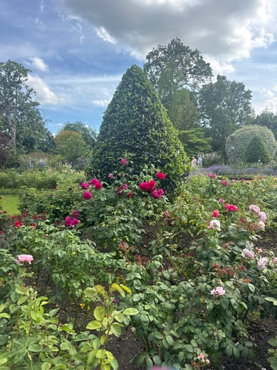 This image depicts a vibrant rose garden, likely situated in Mid Sussex, United Kingdom. The foreground is dominated by a dense collection of rose bushes in various shades of pink and red, with some buds and fully bloomed flowers visible. The soil appears dark and slightly damp.

Behind the rose beds, a tall, cone-shaped topiary stands prominently, its dark green foliage contrasting with the lighter greens of the surrounding trees and shrubs. In the mid-ground, a pathway meanders through the garden, with two figures, a man and a woman, casually strolling. They are dressed in casual clothing. Further back, there are more flowering plants, appearing as purple and white clusters, and various trees with lush green foliage. The sky above is a mix of blue with scattered white and grey clouds. The overall impression is one of a well-maintained botanical garden on a cloudy day.