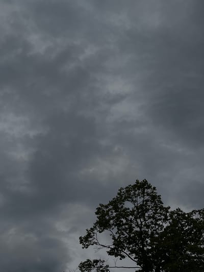 The image is a low-angle shot of a dark, cloudy sky with the silhouette of a large tree in the lower right quadrant. The clouds are heavy and gray, suggesting an overcast or stormy day. The tree's branches and dark green leaves are visible against the sky, with some branches appearing bare. The overall mood is somber and dramatic. The scene is located in Găvănoasa, Moldova.