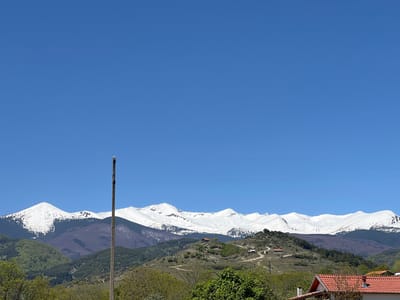 The image depicts a landscape near Kornitsa, Bulgaria. The sky is a clear, deep blue. A range of mountains dominates the midground, capped with snow. The lower slopes of the mountains are covered in forest. In the foreground, there are houses with red-tiled roofs, and trees. A utility pole with wires stretches across the lower portion of the image. A winding dirt road is visible on one of the lower hills. There are no people visible in the image.