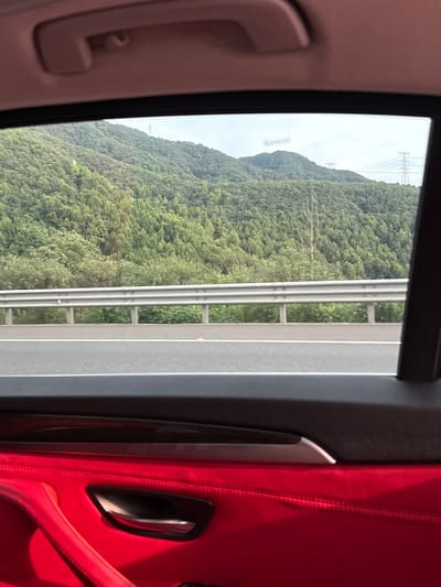 The image is taken from inside a vehicle, looking out the window at a scenic view. In the foreground, the vibrant red interior of the car is visible, including a door handle. The middle ground shows a highway with a metal guardrail separating it from the lush green landscape beyond. The background features rolling hills covered in dense trees, with power lines and towers visible in the distance. The sky is overcast. The image is believed to be taken in Fuyang, China.