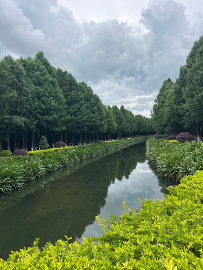 The image captures a serene canal lined with lush greenery, likely located in the Xishan District of China. Tall, dense trees form a continuous canopy on both sides of the canal, their branches reaching towards the overcast sky. The water in the canal is still, reflecting the trees and the dramatic, cloudy sky above. Along the banks, meticulously maintained hedges and bushes in various shades of green create a vibrant border. In the distance, a solitary figure is visible, adding a sense of scale to the expansive landscape. The overall impression is one of natural beauty and tranquility within an urban setting.