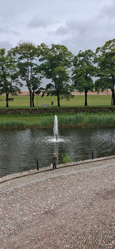 The image shows an outdoor scene on a cloudy day, likely in Kuressaare, Estonia, given the presence of a waterfront and trees characteristic of the region. In the foreground, a cobblestone path is visible, leading to a paved walkway along the edge of a dark body of water. A single person, dressed in a dark jacket and dark pants, stands on the walkway, facing away from the camera and towards a fountain in the water. The fountain is actively spraying water upwards. Tall green reeds grow along the bank of the water, separating it from a grassy area behind. Further back, a line of mature trees with green foliage stands against a hazy sky, with a body of water and a shoreline visible beyond the trees. Benches and lampposts are also present in the background on the grassy area. The overall atmosphere is serene and slightly melancholic due to the overcast weather.