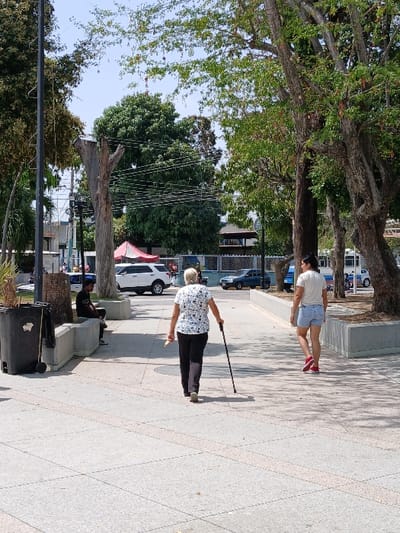 The image depicts a daytime scene in a public outdoor area in San Joaquín, Venezuela. The foreground is a light-colored, tiled walkway. Three individuals are visible. In the center-foreground, an adult female with light-colored hair, wearing a white patterned shirt and dark trousers, walks away from the camera, using a black cane in her left hand and holding a light-colored object in her right. To her right and slightly behind, a second adult female with dark hair, wearing a white t-shirt, light blue denim shorts, and red shoes, also walks away from the camera. To the left, an adult male in a dark shirt and dark pants is seated on a concrete bench, looking left. A dark trash receptacle with an object leaning against it is positioned near the seated male. The area features numerous trees with green foliage. In the mid-ground, a prominent, bare tree trunk with thin wires strung around it stands near other trees. In the background, a street is visible with parked and moving vehicles, including a white SUV and a blue sedan, as well as a red canopy structure and buildings under a clear sky. Strong sunlight casts shadows.