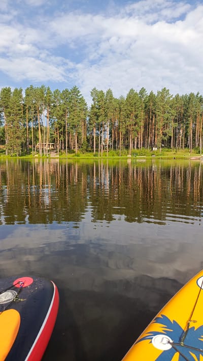 The image captures a serene lake scene, likely in the city of Kvarts, Russia, viewed from the perspective of a paddleboard. The foreground is dominated by the colorful decks of two paddleboards, one black with red and white trim and the other bright yellow with a blue palm tree design. These boards are partially submerged in calm, dark water that reflects the sky and the trees.

In the mid-ground, a line of tall, slender pine trees forms a dense forest along the lake's edge. Their trunks are a warm, golden-brown, and their green needles create a vibrant contrast against the clear blue sky. The trees cast sharp, elongated reflections on the water's surface, creating a mirror-like effect. In the distance, peeking through the trees, are hints of wooden structures, possibly docks or small buildings. The sky above is a bright blue, dotted with fluffy white clouds that also reflect in the water. The overall impression is one of a peaceful, natural landscape on a sunny day, ideal for water activities.