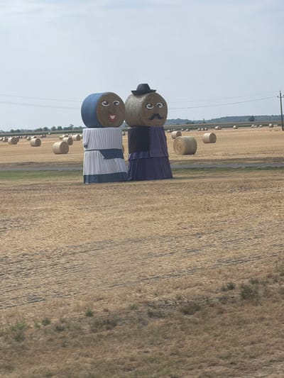 The image depicts two anthropomorphic hay bales arranged as a couple in a field at Foktő, Hungary. The bale on the left, adorned with a blue fabric covering on its upper half, has a painted face with large eyes and a smiling mouth. It is dressed in a white garment with blue accents. The bale on the right, covered in straw, wears a black hat and has a painted mustache and eyes. It is dressed in a dark purple skirt. The surrounding environment is a harvested agricultural field, with numerous round hay bales scattered across the landscape. In the background, a line of trees and utility poles are visible against a pale sky. The overall scene suggests a rural setting, possibly a local attraction or a decorative display in the Hungarian countryside.