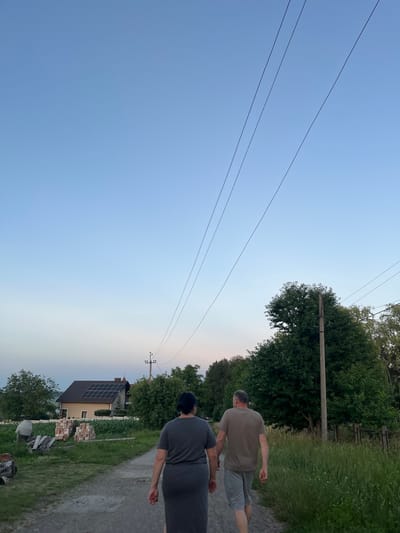 In Koroviia, Ukraine, on a dirt path, a man and woman walk away from the camera. The woman, on the left, wears a dark gray dress, and the man, on the right, wears a light brown t-shirt and gray shorts. They are walking towards a small house with solar panels on its roof. The house is surrounded by greenery, including trees and a garden. The sky is a pale blue, with several power lines stretching across it. The scene appears to be set in the late afternoon or early evening.