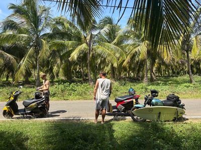 Two young men are standing next to their scooters on a sunny day. One man, shirtless and wearing grey shorts, is looking down at his phone. The other man, wearing a white tank top and grey shorts, is standing with his back to the camera, looking towards a row of palm trees. Three scooters are parked on the side of a road, and a surfboard is propped against one of them. The scene is set in a tropical location with lush greenery and palm trees. The weather appears to be warm and sunny, with clear blue skies. The overall mood seems relaxed and casual. There is no visible text in the image.