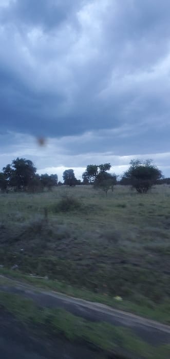 The image depicts an outdoor landscape scene under an overcast sky, specified as being in Mua ward, Kenya. The upper portion of the frame is dominated by dark grey and blue-grey clouds, indicating diffused light conditions. Below the horizon, the terrain consists of an expansive, relatively flat grassland populated by numerous scattered trees and shrubs of varying sizes. The vegetation is characterized by muted greens and browns, consistent with savanna or dry bushland. The immediate foreground features a dark, blurry strip, consistent with a road or dirt track, with adjacent green ground cover. Significant motion blur is evident in the lower third of the image, indicating the photograph was captured from a moving platform. A small, indistinct reddish-brown circular artifact is visible in the upper-left quadrant. No individuals, animals, or artificial structures are discernible within the main landscape.