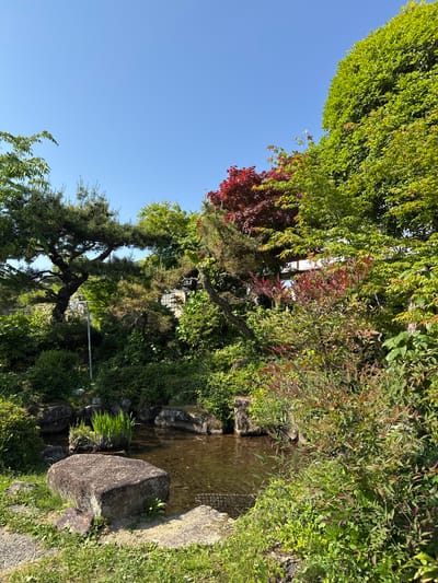 The image shows a lush, green landscape, possibly a garden or park, in Nakatsugawa, Japan. The foreground is filled with a variety of plants, trees, and shrubs in different shades of green, with touches of red foliage. A small body of water, likely a pond or stream, is visible with rocks along its bank. A large rock sits prominently near the water's edge. The sky is clear and blue, visible through the tree canopy. The image is taken at a low angle.