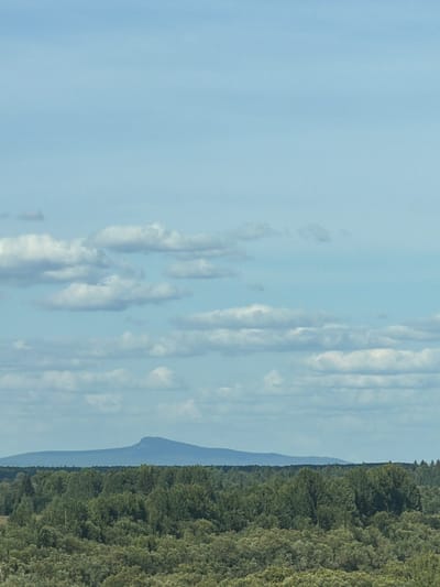 The image depicts a panoramic view of a rural landscape under a partly cloudy sky. In the foreground, a dense forest of various shades of green trees stretches horizontally across the frame. The trees vary in height and density, suggesting a natural, untamed woodland.
In the middle ground, a flat, dark blue mountain range forms a distinct horizon line. The mountain range is low-lying and elongated, with a subtly rounded peak visible in the center.
The background is dominated by a pale blue sky with scattered white, puffy clouds. The clouds are dispersed unevenly, with some areas of clear sky visible between them. The overall lighting suggests daytime, likely mid-morning or afternoon, with soft illumination.
The image does not contain any people, structures, or man-made objects, indicating a natural, undeveloped environment. The scene is serene and expansive, with a clear emphasis on the natural elements of forest, mountains, and sky. The provided location of Ryabinino, Russia, suggests this is a characteristic view of the countryside in that region.