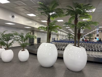 The image depicts an indoor scene, likely an airport baggage claim area, with a focus on several large, glossy white planters containing artificial palm trees. The planters are arranged in a row, with the baggage conveyor belt visible behind them. In the background, rows of luggage carts are neatly stacked, and several people are milling about, some standing near the carts and others seemingly waiting. The ceiling is illuminated by fluorescent lights, and air vents are visible along the upper wall. The overall impression is one of a well-maintained, modern public space. The location is identified as the city of Jeju, South Korea.