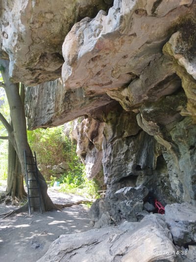 The image depicts a natural cave entrance nestled within a rocky cliff face. A large tree with exposed roots stands to the left of the cave entrance, with a dark metal ladder leaning against its trunk. The ground is covered in dirt and scattered rocks. Beyond the cave entrance, dense green foliage is visible, suggesting a lush natural environment. In the background, a light blue object, possibly a container, rests amongst the vegetation. The scene is lit by natural sunlight, casting shadows on the ground. The image is time-stamped with "17.06.2026 14:38". This location is identified as Tuek Chhou, Cambodia.