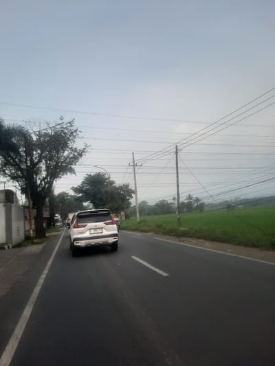 The image, rotated 90 degrees counter-clockwise, depicts a road scene in Cae, Indonesia, under an overcast or hazy sky. A white car, appearing to be an SUV or MPV, is seen from the rear, driving away from the viewer on an asphalt road. Its Indonesian license plate, "D 1860 YCN," is clearly visible, with "07-26" likely indicating the registration expiry month and year.

The road features a solid white line marking its left edge and a dashed white line indicating the center. To the left of the road, along the shoulder, stands a line of trees, including leafy and palm varieties, alongside multiple utility poles that support a dense network of power or telephone lines stretching across the upper part of the frame. To the right of the road, a wide expanse of green field, characteristic of rice paddies or other agricultural land, extends into the misty distance, with a small, indistinct structure visible within it. The lighting is soft and diffused, suggesting a cloudy day. No people are visible.