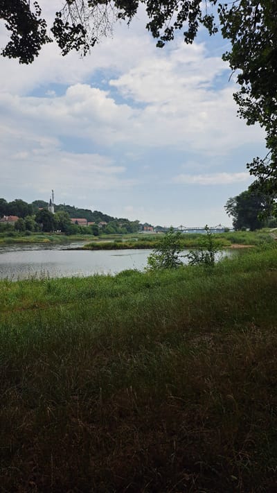 The image depicts a panoramic view of the Oder River in Krosno Odrzańskie, Poland, with a town situated on the opposite bank. In the foreground, lush green grass and reeds line the riverbank, suggesting a natural, undeveloped area. The river itself is calm and reflects the overcast sky, which is dotted with scattered white clouds. Across the river, the town is visible with its characteristic red-tiled roofs, nestled amongst trees. A prominent white church tower with a spire rises above the rooftops, indicating a historical center. In the distance, a bridge spans the river, connecting the two banks. The overall scene conveys a tranquil and picturesque landscape, typical of a riverside town in Eastern Europe.