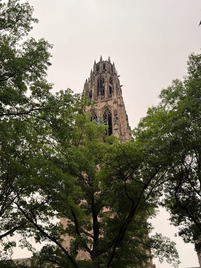 This is a low-angle, medium shot of the Harkness Tower at Yale University in New Haven, Connecticut, United States. The stone tower, a Gothic Revival structure, is framed by lush green trees with dense foliage that partially obscure the view. The sky above is overcast and pale. The tower itself is tall and intricately detailed, featuring spires, arched windows, and gargoyle-like carvings. A large clock face is visible on the lower section of the tower. No people or animals are present in the image. The lighting is diffused, suggesting it might be a cloudy day or late afternoon.