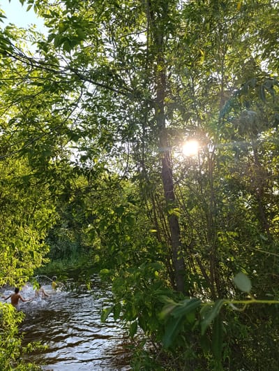 In Мехонское, Russia, on a sunny day, two children are seen swimming and playing in a river surrounded by dense green foliage. The sun is shining brightly through the leaves, creating a dappled light effect. One child, wearing a yellow shirt, is visible splashing in the water, while another child, to the left and partially obscured, is also in the river. The water is dark and appears to be flowing. The riverbank is densely covered with trees and vegetation, with sunlight filtering through the leaves.