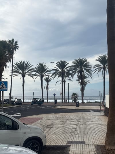 The image captures a vibrant seaside promenade, typical of a coastal resort town, identified as Los Cristianos, Spain. The scene is dominated by a row of tall, mature palm trees that line a wide pedestrian walkway and an adjacent asphalt road, stretching towards the ocean.
On the right side of the image, a light-colored tiled pavement forms the promenade, showing some wear and tear. Further right, parked vehicles, including a white car in the immediate foreground, are visible. The asphalt road runs parallel to the promenade, with white lines marking lanes or parking areas. Several streetlights are interspersed among the palm trees, extending down the road.
Beyond the road and the palm trees, the ocean stretches out, with visible waves crashing onto a sandy or pebbled shore. The sky above is largely overcast with soft, diffuse clouds, suggesting a mild, possibly breezy, daytime setting without direct, harsh sunlight.
A few indistinct figures are visible in the distance: some appear to be walking on the promenade, while others are closer to the water's edge on the beach, enjoying the coastal environment. A black trash bin is noticeable near the shoreline, between the palm trees.
Key objects include a blue pedestrian crossing sign with a white walking figure, visible in the lower left portion of the image. Further down the road, another circular road sign is present, though its specific meaning is unclear due to distance. A light-colored utility vehicle or buggy is parked on the road closer to the ocean. The overall impression is that of a calm, everyday scene in a popular coastal destination.