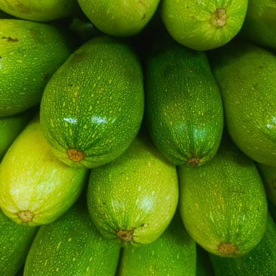 This is a close-up, overhead shot of a pile of fresh, green zucchini. The zucchini are varying shades of green, with some having a lighter, more yellowish hue. They all have a smooth, slightly waxy skin with small, lighter-colored speckles. The shape of the zucchini ranges from elongated to more rounded. The lighting suggests an outdoor or market setting, with reflections on the skin indicating a polished or hydrated surface. The image does not provide any contextual information about its location in Los Teques, Venezuela, or any details about people, actions, or interactions.