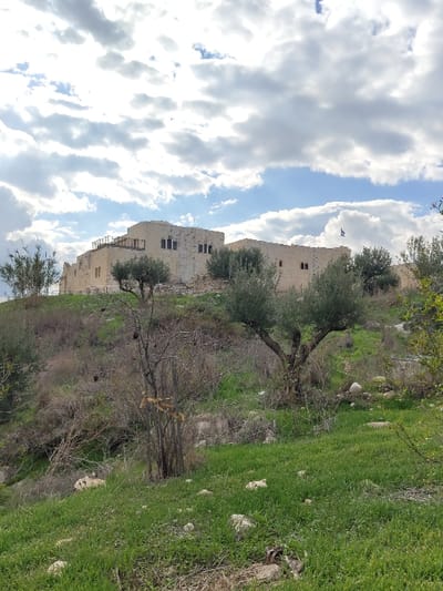The image presents a panoramic view of the Migdal Afek (Antipatris) fortress, situated on a hilltop near Rosh HaAyin, Israel, under a partly cloudy sky. The foreground features a gently sloping terrain covered with vibrant green grass and scattered light-colored stones. Several sparse, deciduous shrubs with thin branches and a few small olive trees with dense, dark green canopies are visible on this lower slope. The midground transitions to a drier, more rugged slope leading to the fortress, populated by additional olive trees with distinct trunks. The background is dominated by the light-colored stone fortress, consisting of multiple interconnected structures with visible rectangular windows. The leftmost primary building section includes an upper level with a railing. To the right, another section of the stone complex is visible, from which a dark blue flag flies on a pole. The sky above is a mosaic of bright blue patches and numerous white and grey cumulus clouds. No individuals are present within the frame.