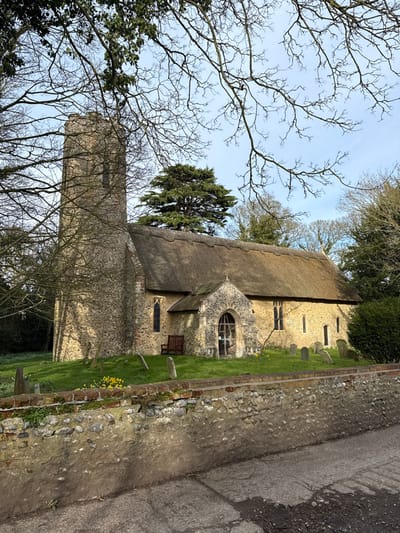 The image displays St Andrew's Church, located in Gunton, North Norfolk, United Kingdom. The church features a prominent, unbuttressed round tower constructed of flint and stone, situated on the western end. The nave and chancel are covered by a steep, light-brown thatched roof. The church walls are composed primarily of flint and dressed stone. A gabled stone porch with an arched entrance extends from the south side of the nave. Several tall, narrow windows with pointed arches are visible along the church's exterior.

The church is set within a grassy churchyard containing numerous weathered headstones and grave markers, many partially obscured by the terrain or vegetation. Small patches of yellow daffodils are blooming in the grass near the church. A dark wooden bench is placed against the church wall, to the left of the porch. In the foreground, a low, mortared wall constructed from flint, stone, and brick runs horizontally, separating the churchyard from a dark, rough-surfaced road or path.

The scene is framed by bare, intertwined branches of deciduous trees in the foreground and along the sides, suggesting late winter or early spring. A large, dark green evergreen tree stands behind the thatched roof. The sky above is clear and pale blue. No individuals are present in the image.