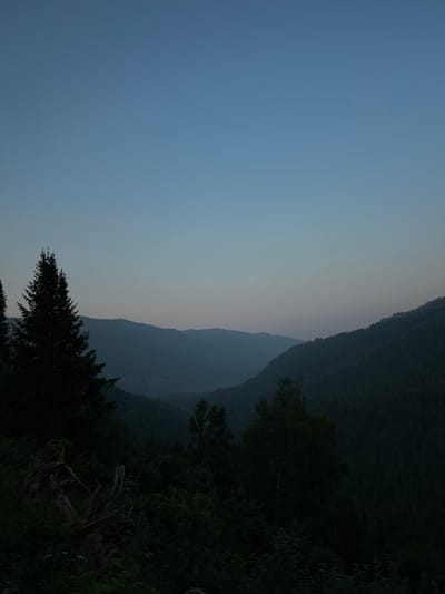 The image displays a serene natural landscape at dusk. The primary subjects are layered mountains fading into the distance, with a vast, pale blue sky dominating the left side of the frame. The sky transitions from a lighter hue near the horizon to a deeper blue overhead. Dense, dark green foliage fills the foreground and right side, obscuring much of the lower portions of the mountains and creating a sense of depth and enclosure.

Notable details include the soft, diffused light characteristic of twilight, suggesting the time of day is either sunrise or sunset. The atmosphere appears clear, with no visible weather phenomena. The silhouettes of trees and branches in the foreground are sharp against the subdued light, indicating they are closer to the viewer. The overall mood is peaceful and contemplative, emphasizing the grandeur of nature. No people or text are visible in the image. The setting is consistent with a mountainous region, possibly a forest or wilderness area.