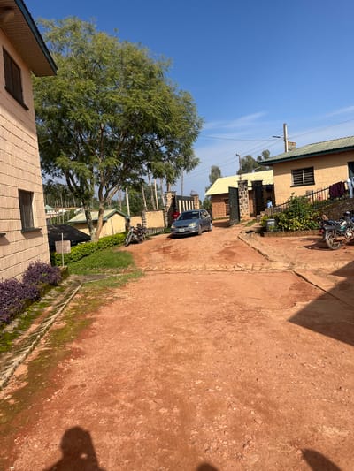 This image depicts an outdoor scene in Gembu, Nigeria, on a clear, sunny day. The setting appears to be a residential or mixed-use area with several buildings visible. The buildings are constructed with light-colored bricks and have green roofs. One building has laundry hanging outside, suggesting daily life activities.
In the foreground and midground, a dirt or gravel path runs through the scene, with patches of grass and some purple-flowering plants along the edge. A large tree with lush green foliage stands prominently on the left side of the image, providing shade.
Several objects are present, including two motorcycles parked near one of the buildings and a dark-colored car in the middle of the path. Power lines and a utility pole are also visible against the bright blue sky, indicating infrastructure in the area.
There is a sign on a utility pole that reads "NEW AN DIRECTION" and then partially obscured text which may be part of the same sign. Another sign, partially visible on a building, appears to contain text, but it is too small to be deciphered.
The overall impression is one of a quiet, everyday scene in a semi-rural or suburban environment, bathed in the bright light of midday. There are no people clearly visible in the image, and the focus is on the environment and objects within it.