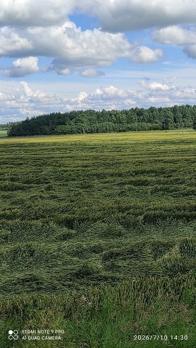 An outdoor, eye-level, vertical full shot captures a field of flattened green crops stretching towards a line of dense, dark green trees against a bright blue sky dotted with fluffy white clouds. The field exhibits distinct horizontal lines where the crops have been mown, creating a striped pattern. The foreground shows the uncut portion of the field, with vertical stalks of green grass. In the lower left corner of the image, the text "REDMI NOTE 9 PRO AI QUAD CAMERA" is visible. In the lower right corner, the date and time "2026/7/10 14:30" are displayed. The scene appears to be a rural agricultural landscape, likely in or near Vardja, Estonia, given the presence of typical Estonian flora and agricultural practices. The weather appears to be clear and sunny.