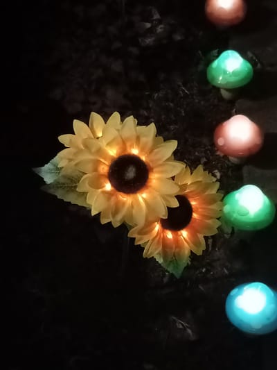 In Amarillo, Texas, two illuminated artificial sunflowers are set against a dark background, possibly representing nighttime. To the right of the sunflowers, several small, mushroom-shaped lights glow in various colors: one is a soft pinkish-orange, one is a bright green, another is a similar pinkish-orange, and the last is a bright cyan. The ground appears to be covered in dark, textured material, perhaps mulch or soil.