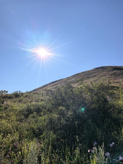 This is a photograph taken outdoors on a sunny day. The image features a clear blue sky with the sun prominently displayed, emitting bright rays and lens flare. In the foreground, there is lush green vegetation, including grass, bushes, and some small flowers. A gently sloping hill covered in dry grass and vegetation dominates the background. The sun is positioned in the upper left quadrant of the image, casting a bright light over the scene. There are no people or man-made objects visible in the photograph. The location is described as the city of Shikhan, Russia.