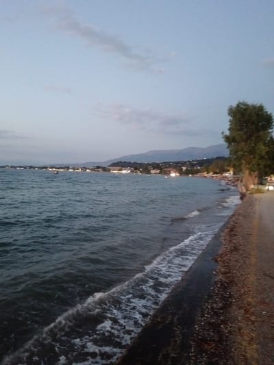 The image captures a serene coastal scene during twilight, likely in the Municipal Unit of Vrachneika, Greece. The foreground features a dark, textured embankment with a paved surface on the right, suggesting a road or walkway alongside the water. Gentle waves lap against the embankment, creating a line of white foam. The sea extends towards the horizon, its surface rippled and dark blue.
In the middle ground, a distant shoreline is visible, dotted with numerous lights from buildings and possibly streetlights, indicating a populated area or town. Mountains form a hazy backdrop against the soft, pale blue twilight sky, which is streaked with thin, wispy clouds. A solitary tree with dark green foliage stands prominently on the right side of the image, its branches reaching upwards. A single boat is visible in the water, further out from the shore. The overall impression is one of a peaceful evening by the sea, with hints of human activity in the distance.