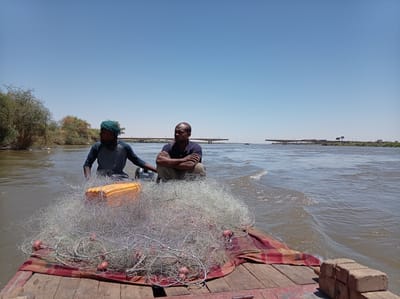 The image depicts two men on a wooden boat in the Nile River, likely in the city of Bahri, Sudan. The boat is traveling towards a bridge that appears to be under construction or partially dismantled.

The man at the back of the boat wears a green turban and a dark shirt, operating the small outboard motor. The other man sits in front of him with his arms crossed, wearing a dark blue t-shirt. A large fishing net, with an orange buoy and red floats, is piled on the boat's bow.

The river is wide and muddy, with vegetation visible on the banks. The sky is clear and blue. The overall scene suggests a daily activity on the Nile, possibly fishing. The wooden planks of the boat and its rough construction are visible. There also appears to be a blanket and some bricks at the front of the boat.