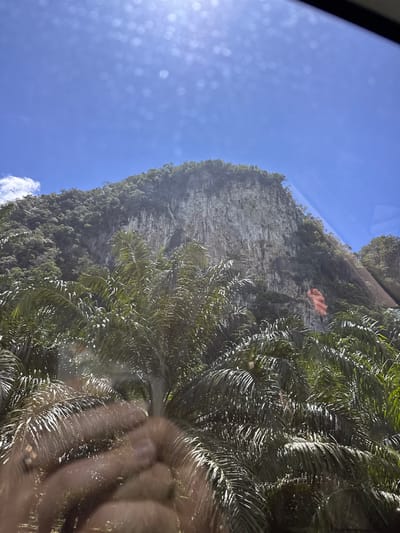 The image shows a rocky cliff face covered in lush green vegetation, likely a jungle or forest, under a bright blue sky. In the foreground, palm fronds are prominent, obscuring parts of the cliff and creating a dappled effect from the sunlight. There is an orange-colored structure, possibly a building or a mural, on the cliff face. The scene appears to be viewed from a distance, possibly through a window or from a moving vehicle, given the reflections and the slight blurriness in some areas. The overall impression is of a tropical, natural landscape. The image was taken on a clear, sunny day. The orientation of the image is such that the cliff face is positioned vertically. No text is visible in the image.
