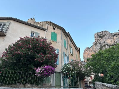 This is a medium-shot, eye-level, outdoor photograph taken in Moustiers-Sainte-Marie, France. The scene depicts a street view with traditional French architecture and natural elements.
The primary subjects are two buildings with pale, textured facades and sloping tile roofs. One building, on the left, has a balcony with a wrought-iron railing and several windows, some with light blue shutters. The other building, on the right, has green shutters on its windows and doors. In front of the buildings, lush green bushes are in bloom with vibrant pink and purple flowers, creating a colorful contrast against the neutral-toned walls. A dark green metal fence runs along the foreground, separating the street from the plants.
In the background, a dramatic, rugged mountain cliff face rises up, partially covered in sparse vegetation. The clear blue sky suggests fair weather. The lighting indicates it is either early morning or late afternoon, with soft light casting gentle shadows.
There are no people visible in the image, nor any obvious activity taking place. The overall impression is one of a peaceful, picturesque village scene, characteristic of the South of France. The location cues, such as the architecture and the dramatic limestone cliffs, strongly suggest Moustiers-Sainte-Marie. There is no visible text within the image.