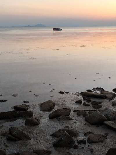 An outdoor, eye-level, vertical shot captures a serene coastal scene at twilight in Labuan Bajo, Indonesia. The calm, expansive sea reflects the soft, pastel hues of the fading sky, creating a gentle, muted palette of pinks and grays. In the distance, a few mountainous islands are silhouetted against the horizon. A small, red-roofed boat with a dark hull floats on the water, appearing distant and isolated. The foreground is dominated by a rocky shoreline covered in damp sand and mud, with scattered rocks of varying sizes. The overall atmosphere is one of tranquility and natural beauty as day transitions into night.