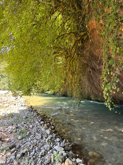 The image depicts a natural scene along the bank of a flowing river in Abgara, Abkhazia. The river's water is clear and turquoise, with visible currents and ripples. The riverbank on the left is covered with numerous smooth, grey and brown stones of varying sizes. Lush green foliage hangs over the river from the left, creating a canopy. To the right, a steep, rocky cliff face rises, adorned with moss and ivy that drapes downwards. Sunlight filters through the leaves, casting dappled patterns on the water and the rocky bank. The environment appears wild and untouched, with no visible signs of human presence or activity.