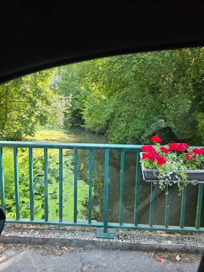 The image shows a railing with red flowers and greenery in a planter box, overlooking a body of water covered in bright green algae and lily pads. Trees with lush green foliage line the banks of the water. The scene appears to be outdoors, possibly a park or a scenic spot, with a paved surface and a concrete edge to the right of the railing. The sun is shining, casting dappled light on the trees and water, suggesting it is daytime, likely morning or afternoon. The overall mood is serene and natural. The image is taken from a slightly elevated perspective, looking down and across the water. The railing is green and has horizontal bars. There are no people visible in the image. The location context provided is Avilly-Saint-Léonard, France.