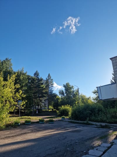The image depicts an outdoor scene with a clear blue sky and a scattered, wispy cloud. In the foreground, a paved area, possibly a road or parking lot, shows signs of wear and puddles. To the left, lush green trees and foliage are visible, with some sunlight filtering through. A blue traffic sign with yellow symbols is partially obscured by the leaves. In the background, several tall trees, including pine trees, stand in front of a building with a light-colored facade. To the right, another building, constructed of brick, is partially visible, along with a white structure that appears to be a kiosk or trailer. The overall impression is a daytime scene in a residential or industrial area, likely in an urban setting. There are no people clearly visible in the image. The presence of trees and vegetation suggests a temperate climate. The lighting indicates it is either morning or late afternoon.