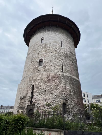 The image displays the Tour Jeanne d'Arc (also known as the Donjon de Rouen), a historical fortified structure situated in Rouen, France. The central subject is a massive, cylindrical stone tower constructed from irregularly shaped, pale grey and off-white stone blocks, exhibiting considerable weathering, discoloration, and some structural damage.

The tower tapers slightly upwards, culminating in a prominent, dark, overhanging wooden structure at its summit, likely a reconstruction of hoardings or machicolations. Above this, a small, dark conical spire is topped with a metal weather vane. The stone facade below the wooden overhang shows significant dark staining.

Multiple openings puncture the tower's surface. On the viewer's left, a narrow vertical slit is visible. Slightly above the horizontal center, an arched window fitted with dark, multi-paned glass is set into the stone. A smaller, narrow rectangular opening is present higher up on the left side. The stone surfaces throughout the tower display varying degrees of erosion, reddish-brown and dark grey staining, and minor cracks.

At the lower left portion of the tower's base, a pronounced vertical recess or crack is evident, leading to a dark, arched entrance or doorway secured with a metal grate. Further to the right at the base, another small, narrow, arched window with dark bars or glazing is observed. The lower courses of stone appear darker and more stained.

In the immediate foreground, a black, wrought-iron fence with vertical bars extends across the bottom of the frame, partially obscuring the tower's base. Green shrubbery and flowering plants, including several pink roses, grow both in front of and behind this fence. A low, grey concrete or stone barrier is visible at the very bottom edge.

The background includes various urban structures. To the right of the tower, a modern, multi-story white building with prominent dark, rectangular windows is visible. To the far left, older, traditional European buildings featuring pitched roofs and dormer windows are discernible. The sky is uniformly overcast, exhibiting shades of grey with diffuse cloud formations, indicating no direct sunlight. No human figures are present in the scene.
